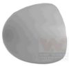 VAN WEZEL 4343844 Cover, outside mirror